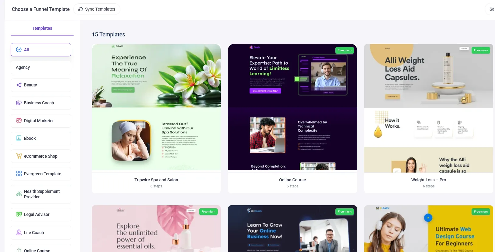 Profit Hub System funnel templates for different online business ideas